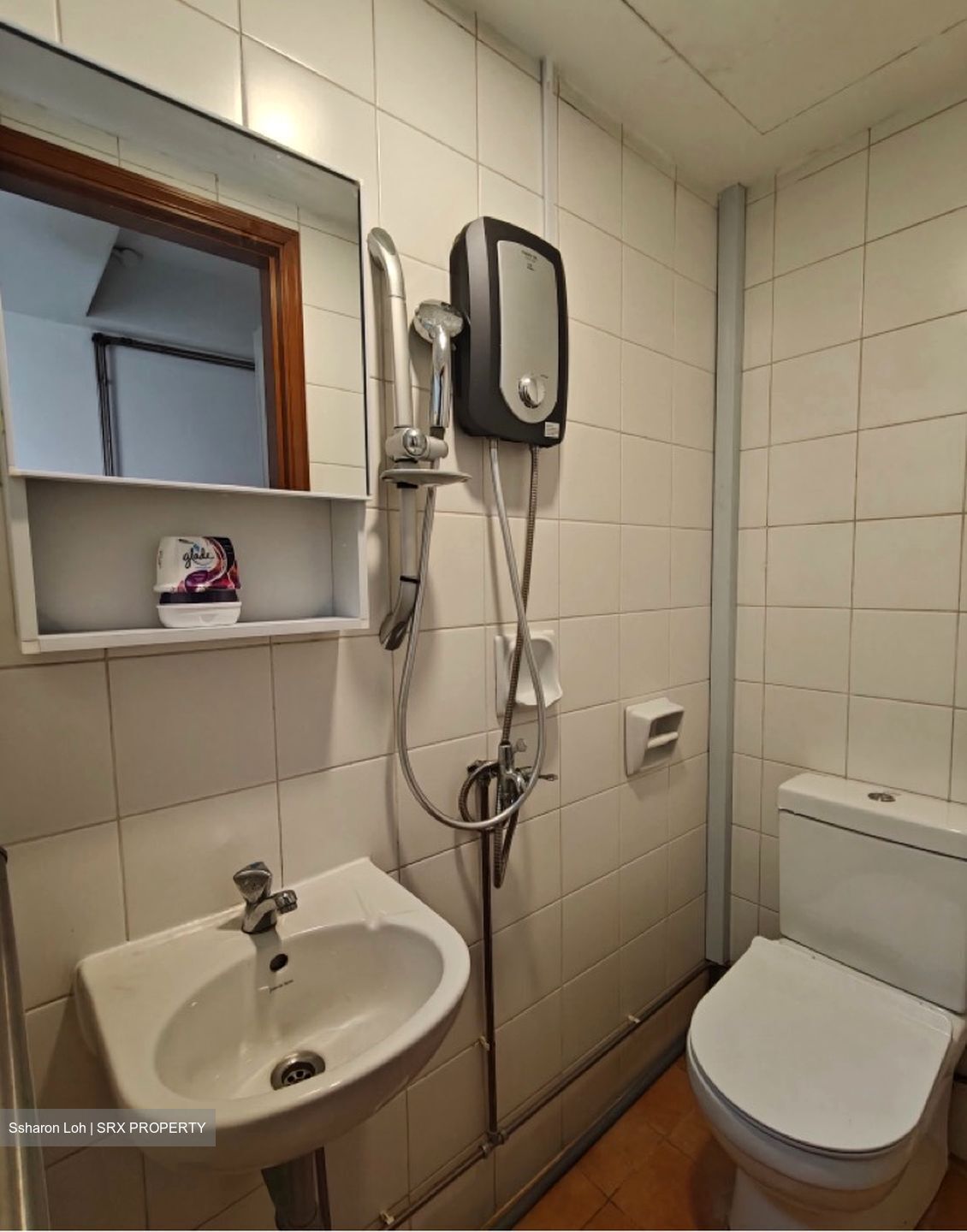 Emerald Garden (D1), Condominium #617019481
